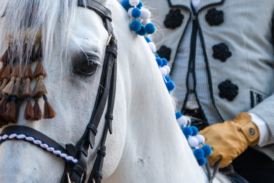 Espectáculo conmemorativo de la Feria de Jerez | Fundación Real Escuela  Andaluza del Arte Ecuestre