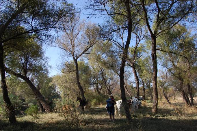 Expedición Ecuestre por la Ruta de la Plata (25)