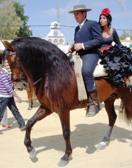 Feria del Caballo España (28).JPG