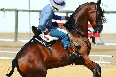 La asociación 'Doma de Campo' pide organizar el Campeonato de España de Doma  Vaquera absoluto y menores en Córdoba | EL MUNDO FINANCIERO