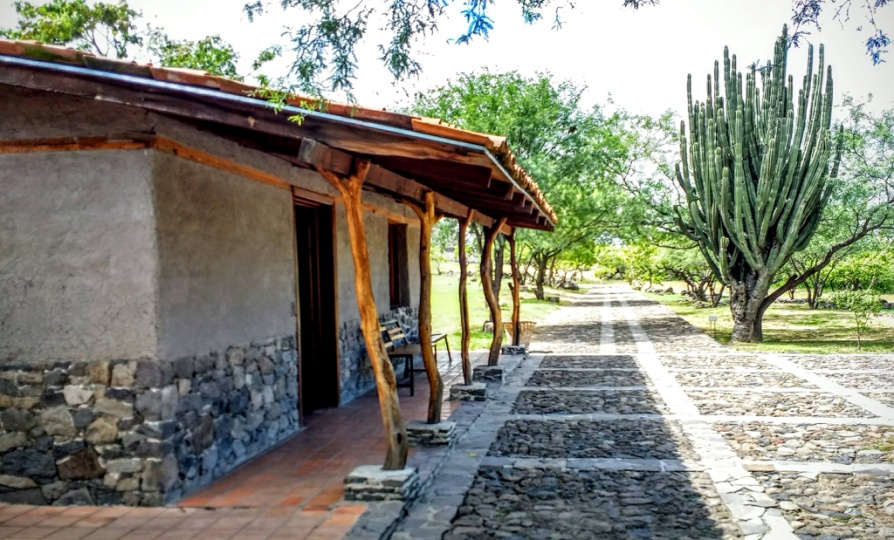 La imagen puede contener: árbol, planta y exterior