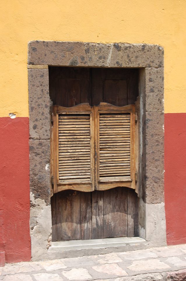 La imagen puede contener: planta y exterior