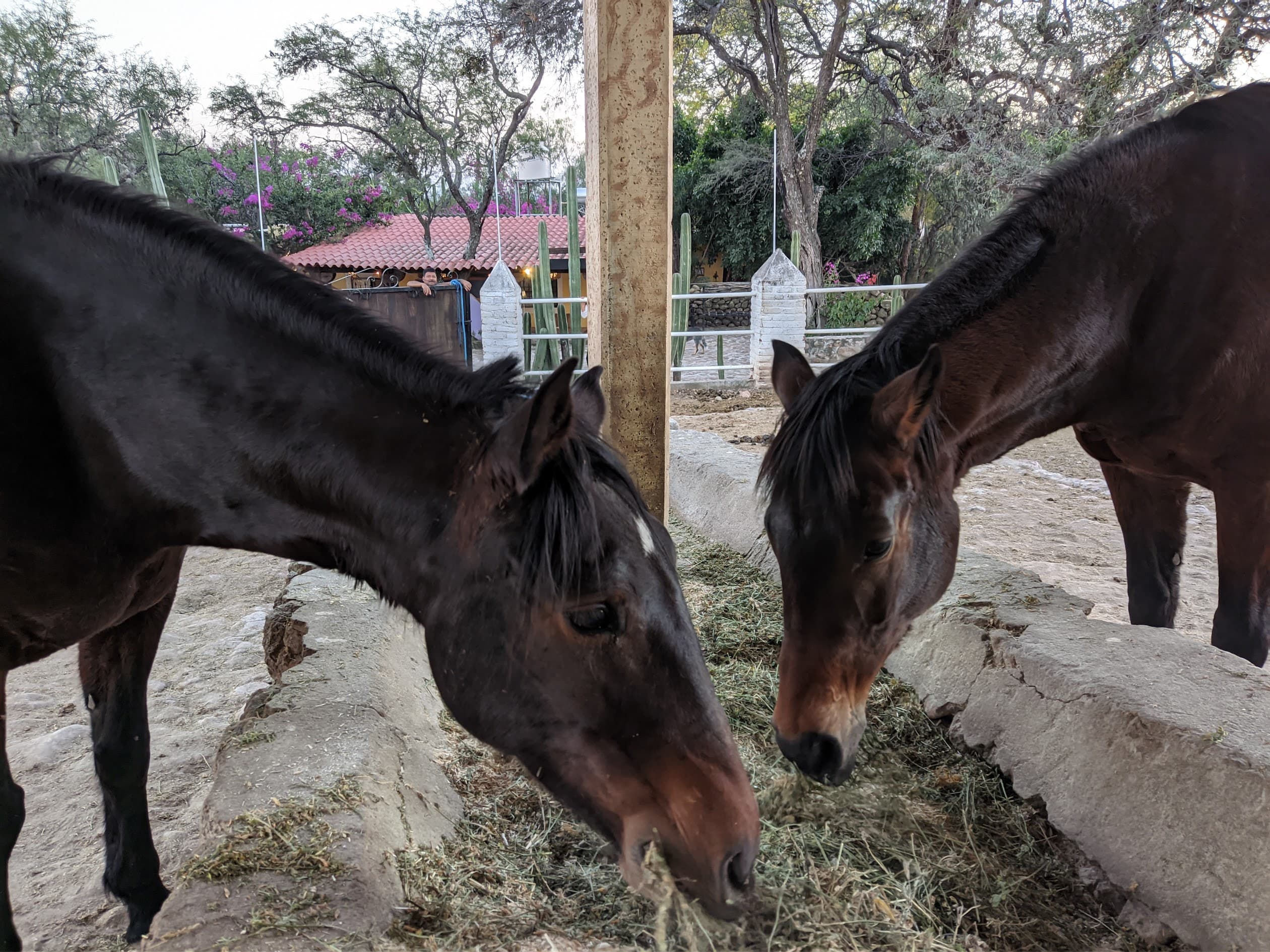 The Coffee Frontier Ride – Colombia in Quindío 