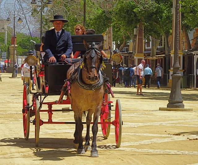 horse carriage andalucia