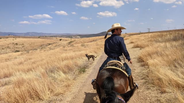 Man and dog in the desert