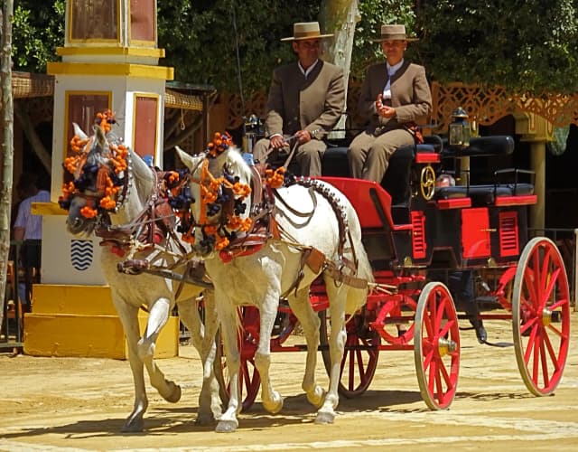 horse carriage jerez fest