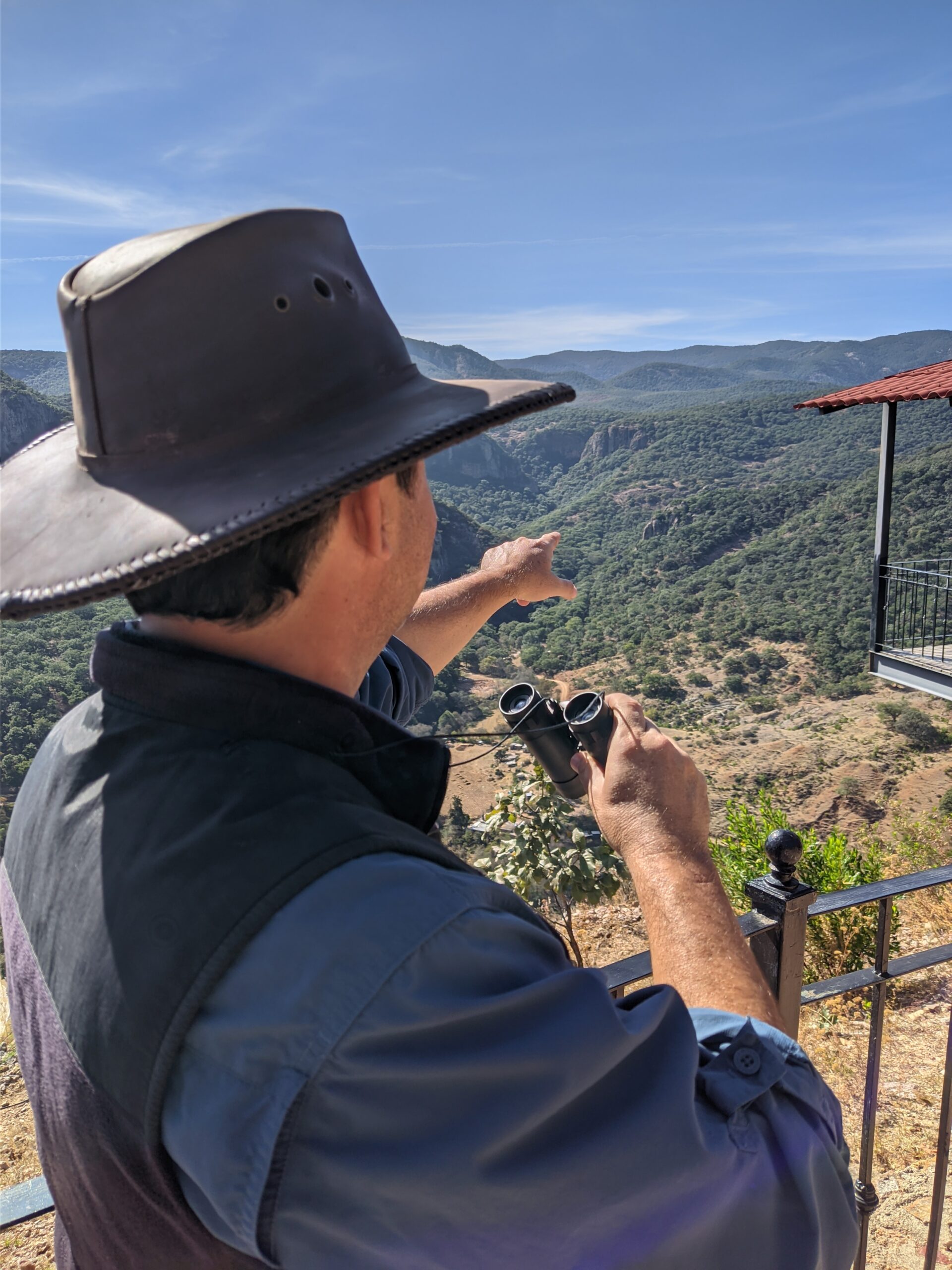 Nature observation with binoculars